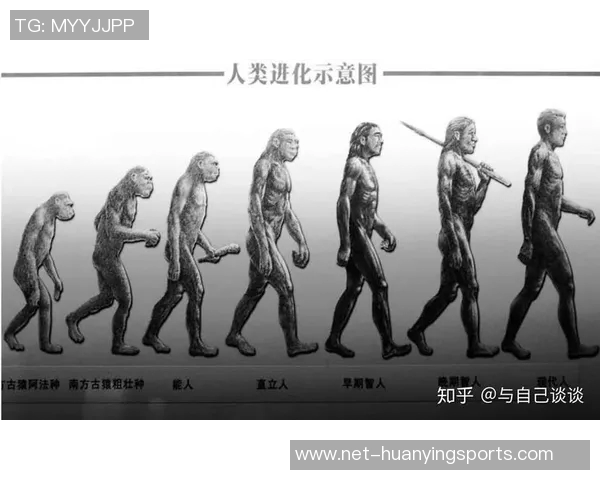 猿人与现代人类的对比探讨揭示了人类进化的奥秘与未来发展方向